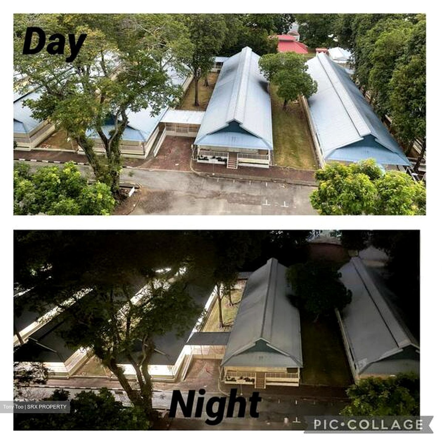 Pavilion 11 (D11), Condominium #423462031